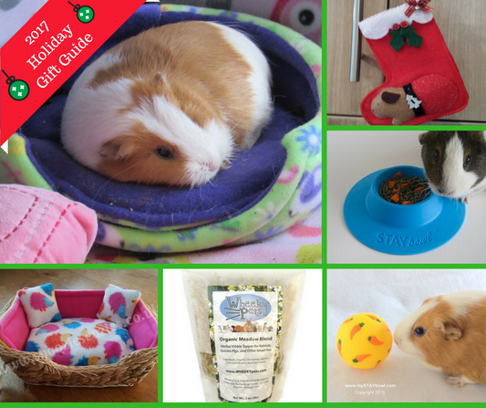 Collage of products for guinea pigs and small pets