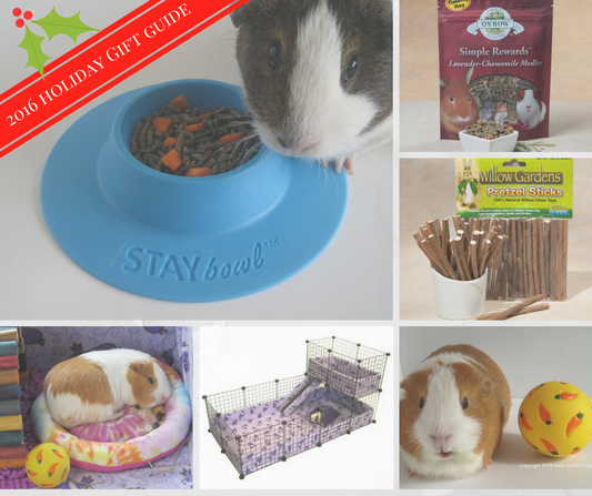 Collage of products for guinea pigs and small pets