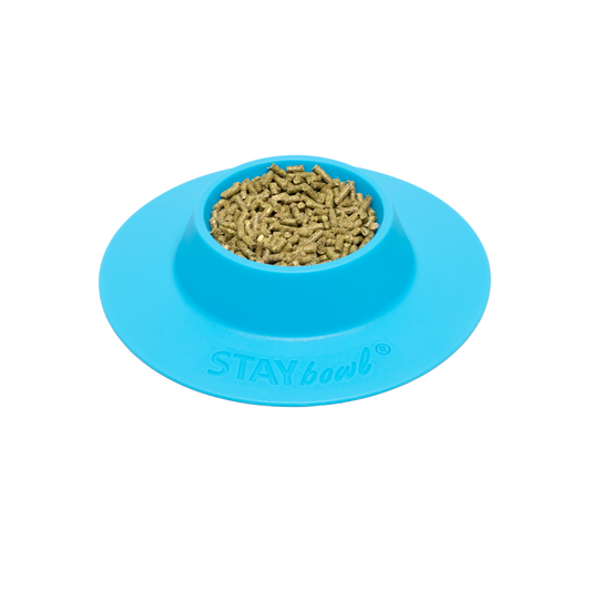 A small Sky Blue STAYbowl filled with small animal kibble.