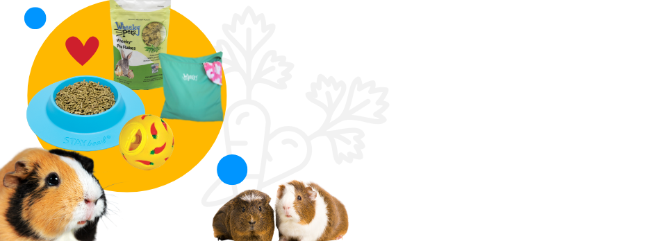 A colorful display of small pet products, including the blue STAYbowl filled with food, a yellow treat ball, Wheeky Pets pea flakes, and laundry helper bag.