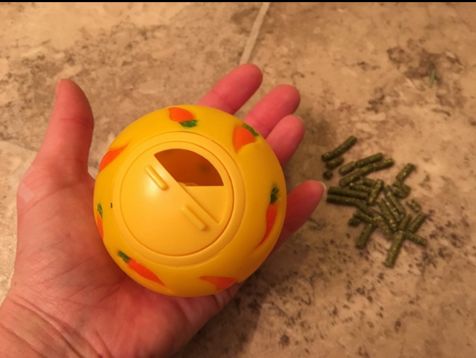 A customer holding a WheekyⓇ Treat Ball for Guinea Pigs, Rabbits, Hedgehogs and Small Pets.