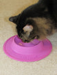 STAYbowlⓇ NO-SLIP/NO-TIP Food and Water Bowl for Cats (3/4 CUP SIZE) - Wheeky Pets, LLC (Green Oak Technology Group)