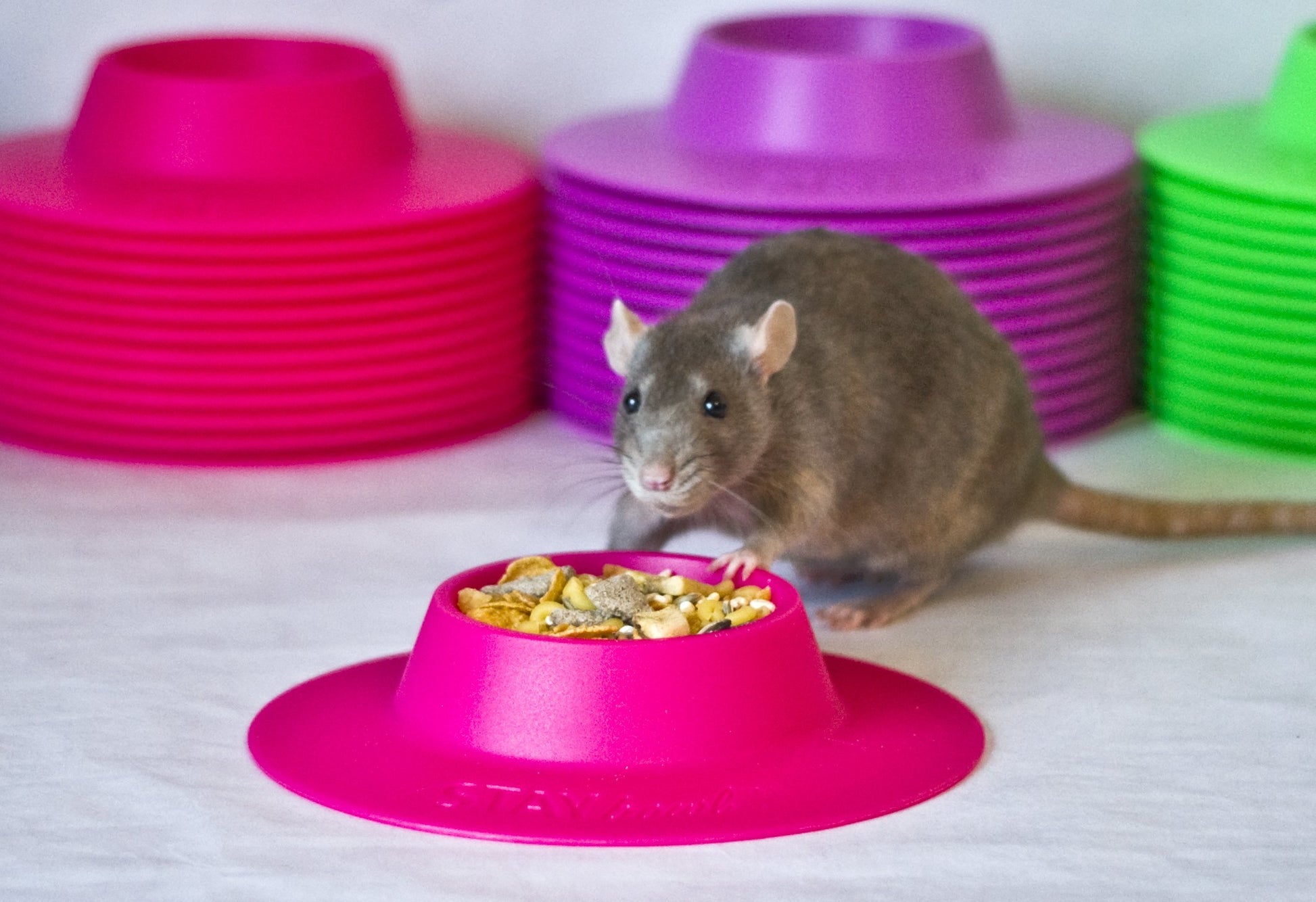 Small (1/4-cup) Fuchsia Pink STAYbowlⓇ Tip-Proof Bowl Filled with Rat Kibble - Wheeky Pets, LLC