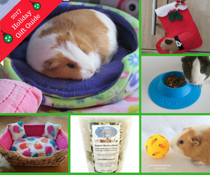 2017 Guinea Pig Christmas Holiday Gift Guide