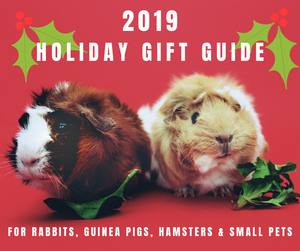2019 Guinea Pig, Rabbit and Small Pet Christmas Holiday Gift Guide
