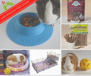 2016 Guinea Pig Christmas Holiday Gift Guide