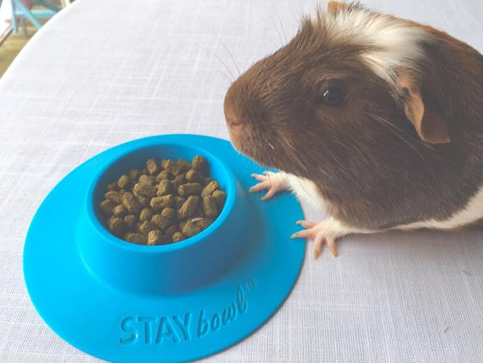 Another UK Blogger Gives STAYbowl™ a Thumbs Up