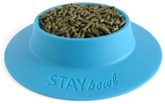 Guinea pig bowls outlet